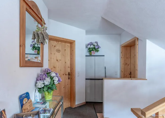 Haus Fernwald Tim Und Nynke 阿尔卑巴赫