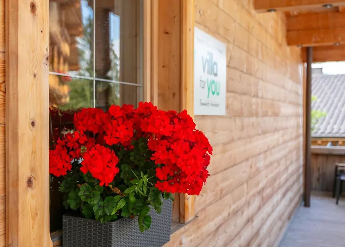 Haus Fernwald Tim Und Nynke 阿尔卑巴赫